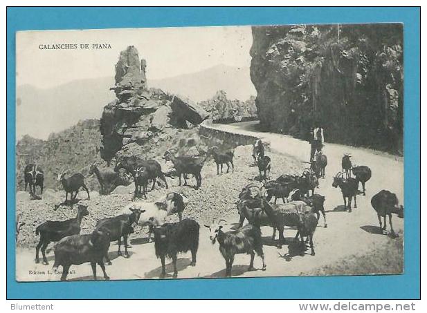 CPA Chevrier Et Ses ChèvresCalanches De PIANA Corse - Sonstige & Ohne Zuordnung