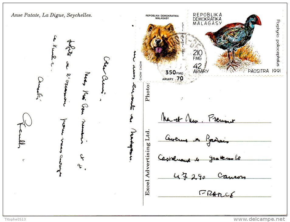 MADAGASCAR. PA 204 De 1991 Sur Carte Postale Ayant Circulé. Chien. - Chiens