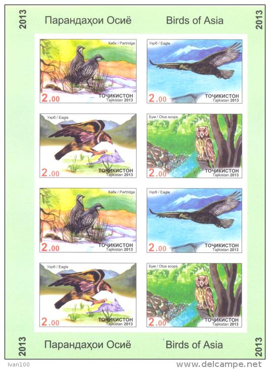 2013. Tajikistan, Birds Of Asia, Sheetlet Imperforated, Mint/** - Tajikistan