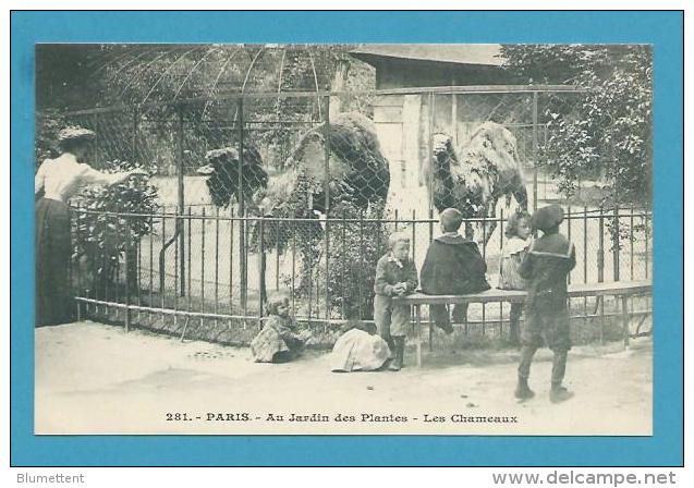 CPA 281 - Les Chameaux Au Jardin Des Plantes PARIS Vème - Distretto: 05