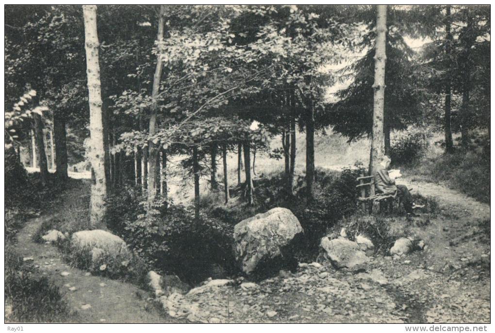 BELGIQUE - LIEGE - STAVELOT - Le Trou Du Ruy Et Ses Cascatelles Au Dessus Du Tunnel (ruisseau Des Aywéfats). - Stavelot