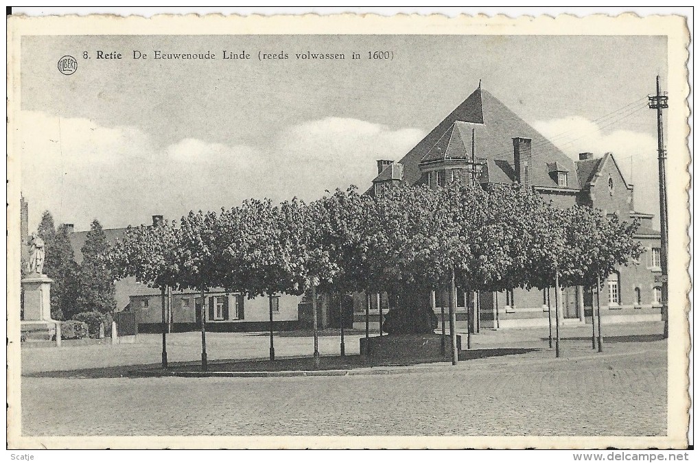 Retie     De Eeuwenoude Linde  -  1953  Naar Tielt - Retie