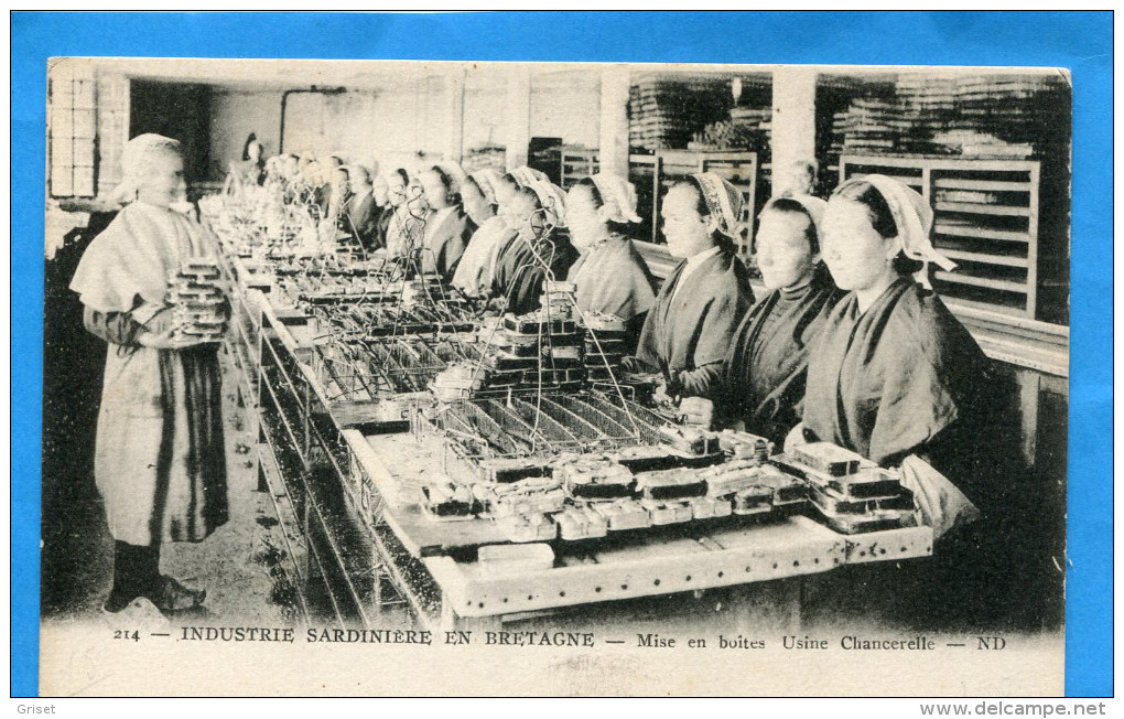 Gros Plan Animé-industrie Sardinière--les Ouvrières-mise En Boite-usine Chancerelle--années1910- 20-édition  ND - Autres & Non Classés