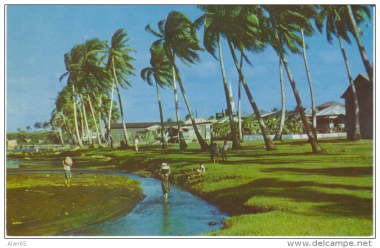 Inarajan Guam, Village Scene Children Carry Food Home, C1960s Vintage Postcard - Guam