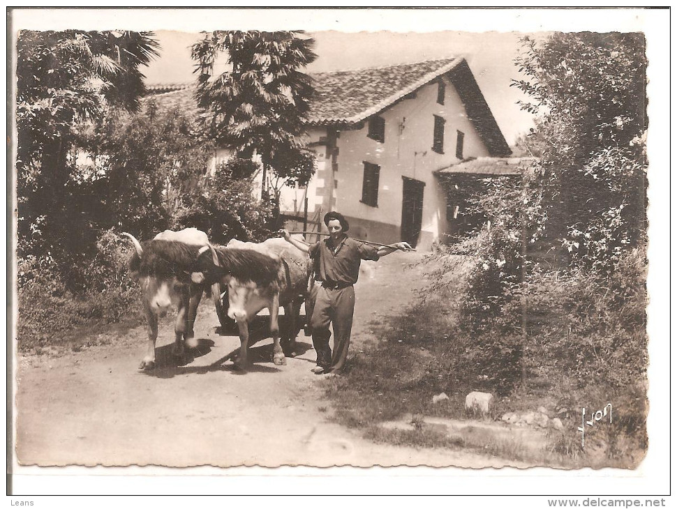 PAYS BASQUE     FERME ET ATTELAGE BASQUE    ETAT - Attelages