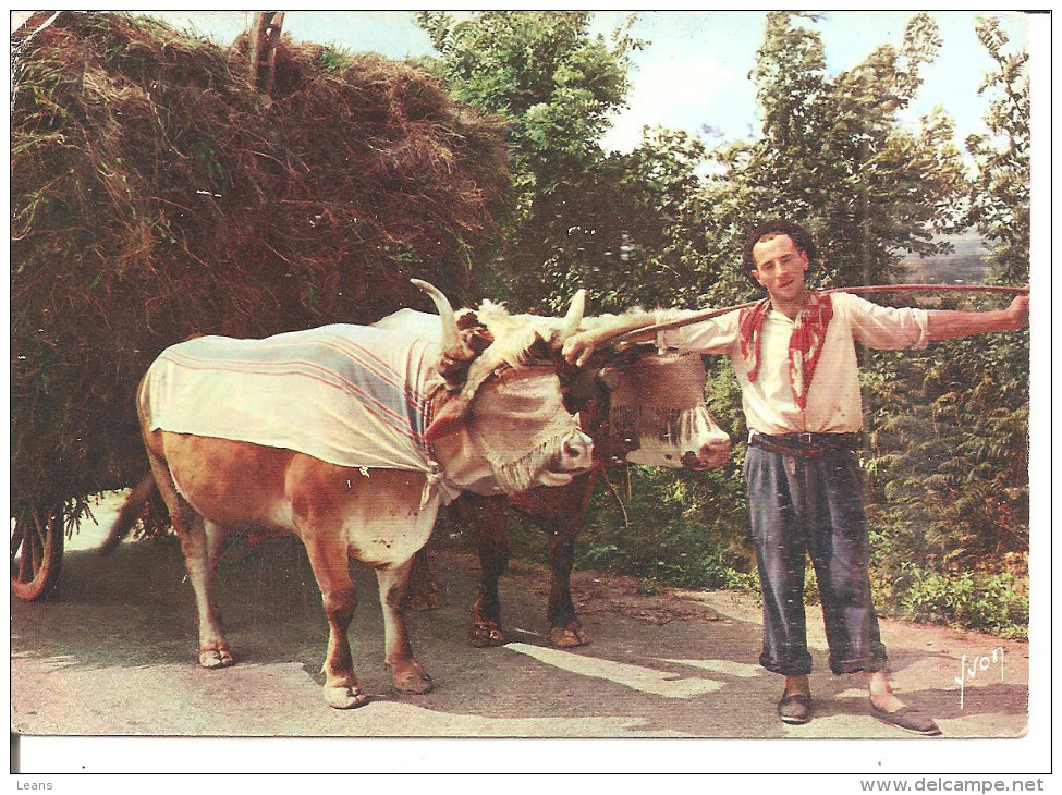 PAYS BASQUE    ATTELAGE ET TYPE DE JEUNE HOMME BASQUE    ETAT - Equipos