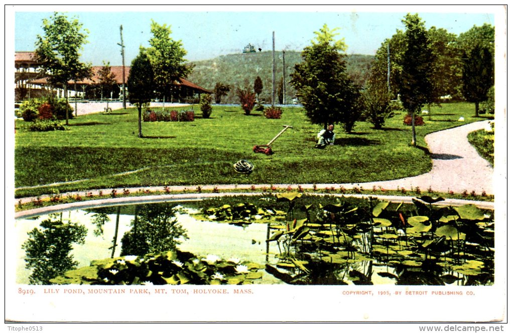 USA. Carte Postale Ayant Circulé En 1910. Holyoke/Lily Pond, Mountain Park. - Springfield