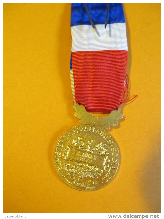 Médaille /Médaille Du Travail/Grand Or//Attribuée/C. AUGER/1972      MED42 - France