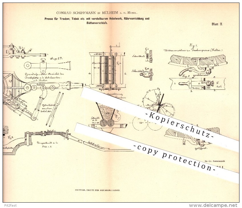 Original Patent - C. Schiffmann , Mülheim , Mosel , 1881 , Presse Für Trauben , Tabak Mit Hebelwerk, Rührvorrichtung !! - Historische Dokumente