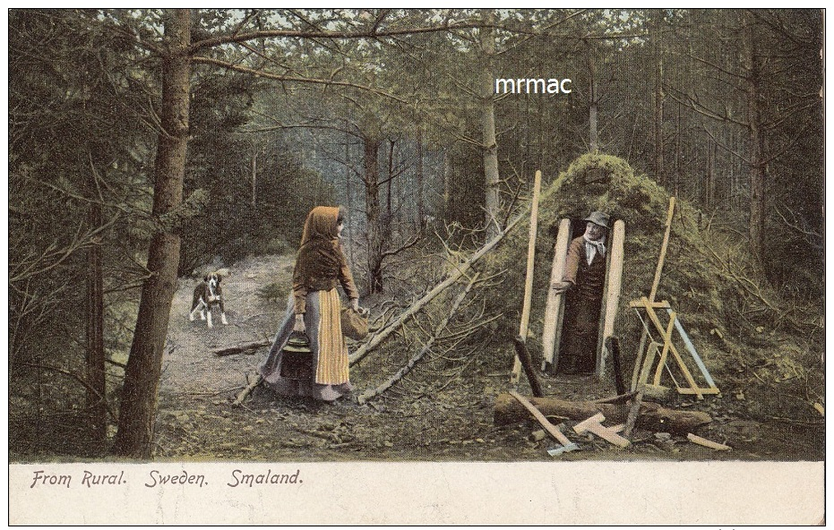 Vintage Postcard (Undivided Back),  From Rural. (Shelter Made Of Conifers), Sweden. Smaland (ref.# 3093e) - Suède