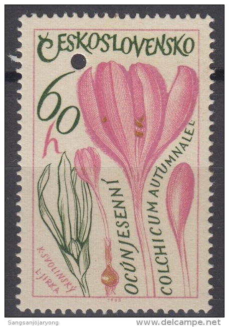 Specimen, Czechoslovakia Sc1355 Medicinal Plant, Meadow Saffron, Plantes Médicinales - Geneeskrachtige Planten