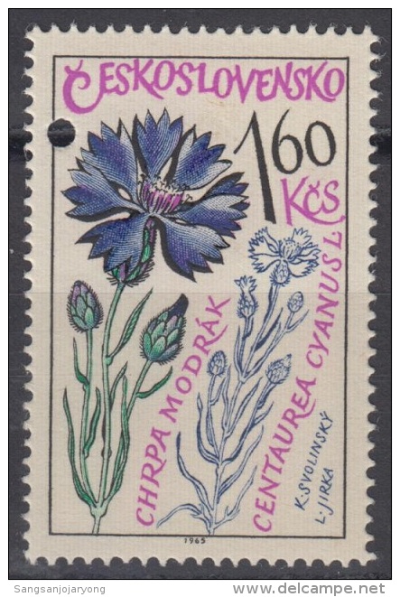 Specimen, Czechoslovakia Sc1359 Medicinal Plant, Cornflower, Plantes Médicinales - Plantas Medicinales