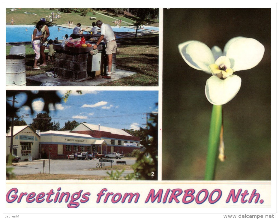 (545) Australia - QLD - Mirboo (with Orchid) - Atherton Tablelands