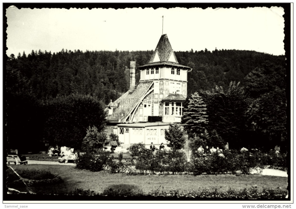 Schwarzburg In Thüringen  -  Kurgarten Mit Hotel Schwarzerburg  -   Ansichtskarte Ca. 1970    (5220) - Bad Blankenburg