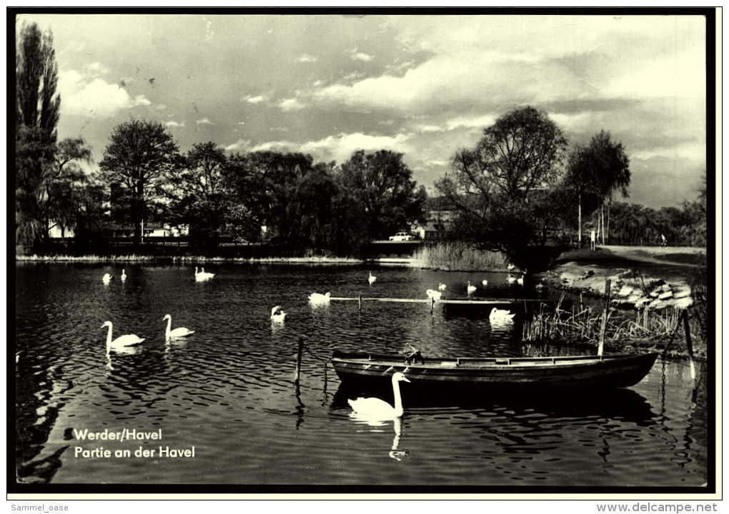 Werder An Der Havel  -  Partie An Der Havel  -  Ansichtskarte Ca. 1971    (5214) - Werder