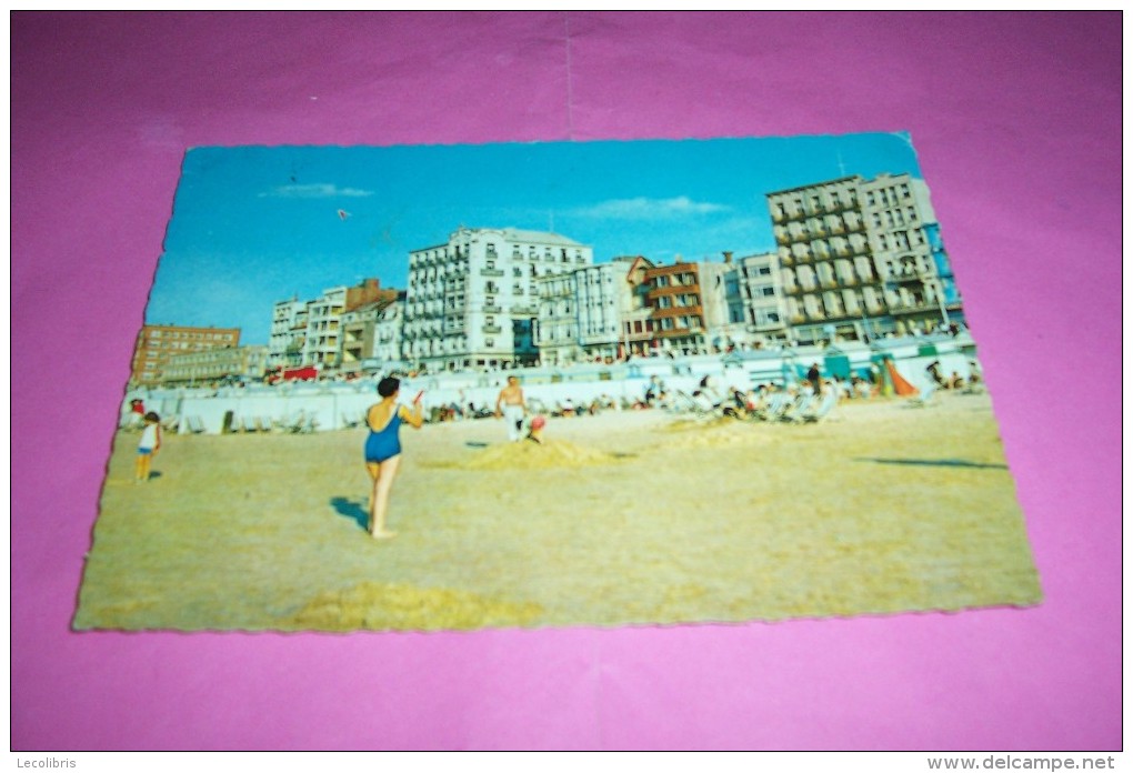 BLANKENBERGE  LA DIGUE  LE 7 06 1971 - Other & Unclassified