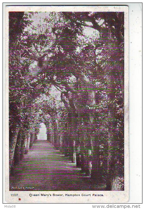 QUEEN MARY'S BOWEN . HAMPTON COURT PALACE . JARDIN. H. C. 3 - Middlesex