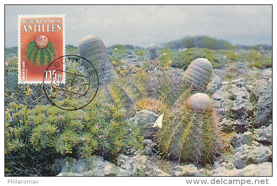 D21415 CARTE MAXIMUM CARD RR 1989 NETHERLANDS ANTILLES - MELOCACTUS BONAIRE CP ORIGINAL - Cactusses