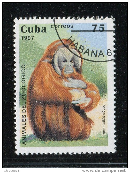 (cl. 4 - P.4) Cuba Ob N° 3610 - (ref. Michel Au Dos) - Orang Outan  - - Usati