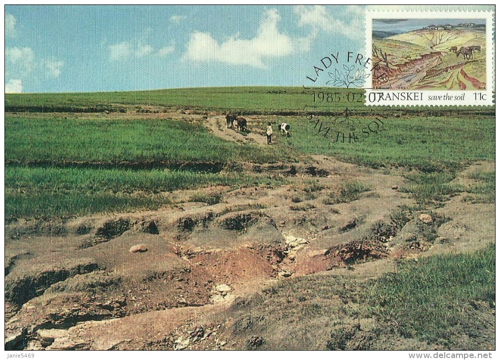 South Africa-Transkei 1985 Soil Conservation, Erosion From Over Grazing, Maximum Card - Transkei