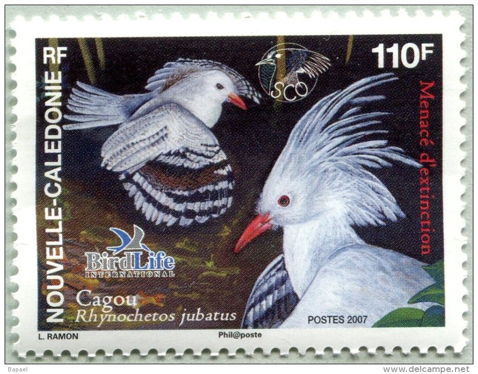 N° Yvert 1006 - Timbre De Nouvelle Calédonie (2007) - MNH - Le Cagou (JS) - Ungebraucht