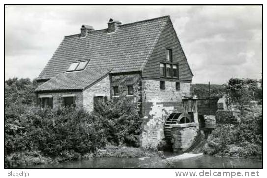 WEZEMAAL - Rotselaar (Vlaams-Brabant) - Molen/moulin - De Uithemmolen Op De Winge Na Restauratie (verbouwing Tot Woning) - Rotselaar