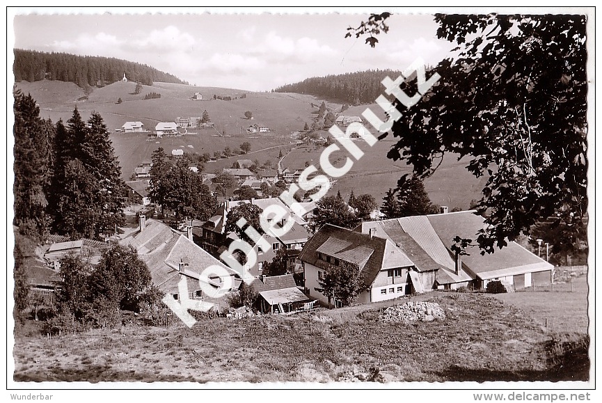 Todtnauberg  (z3035) - Todtnau