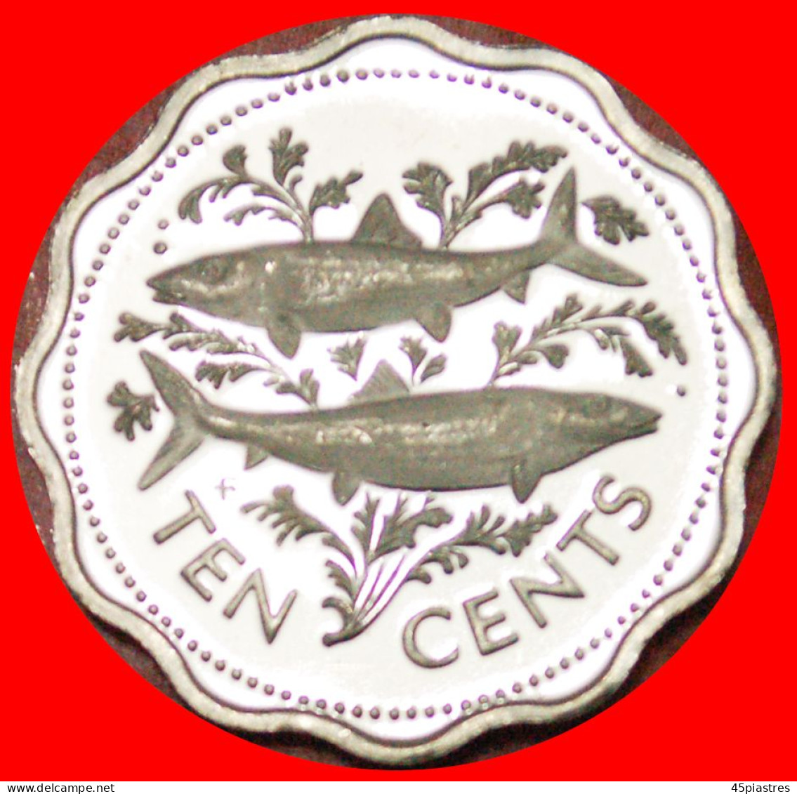 &#9733;SHIP AND FISHES: BAHAMAS &#9733; 10 CENTS 1976! PROOF! OW START&#9733; NO RESERVE - Bahamas