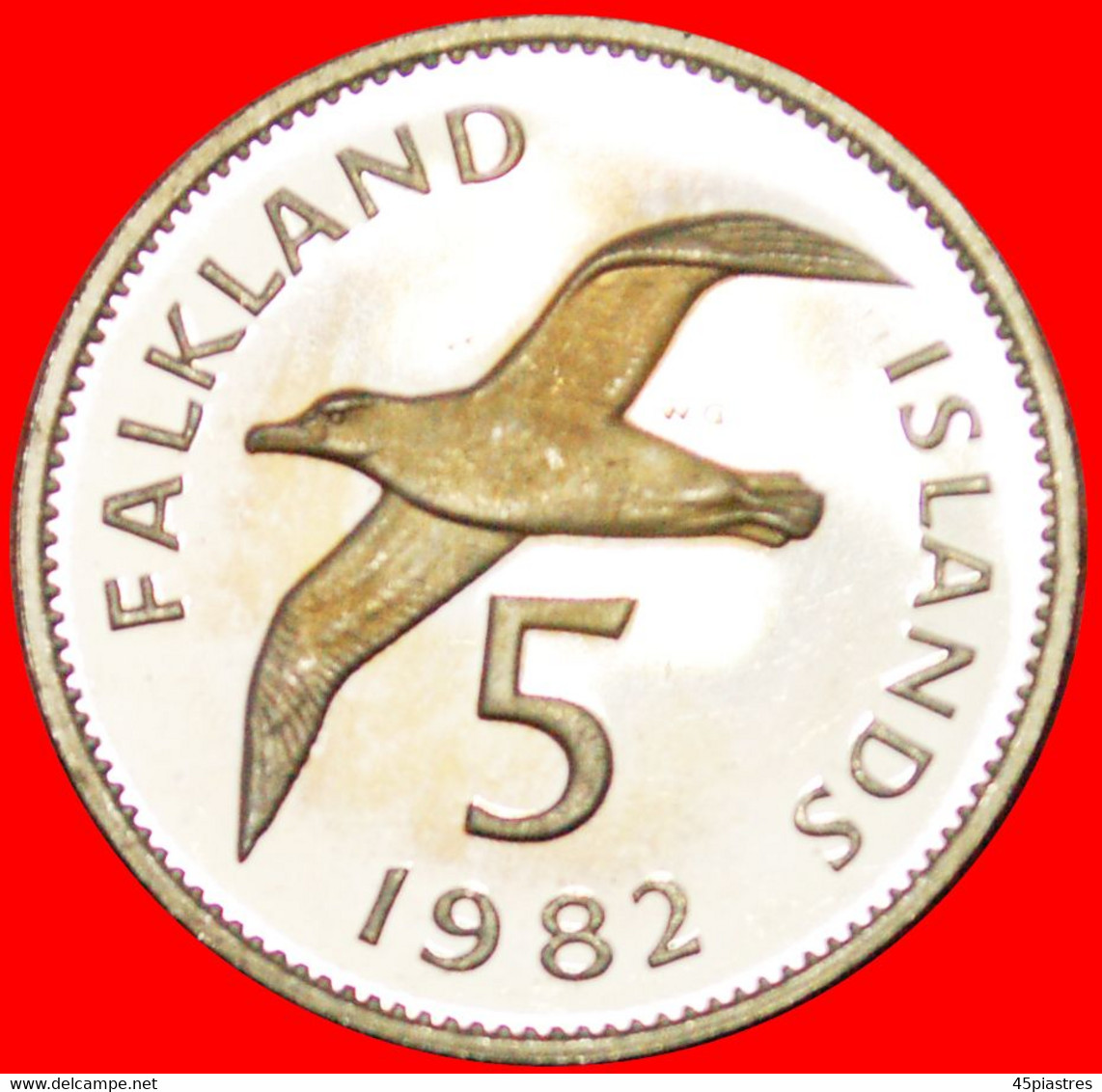 * GREAT BRITAIN ALBATROSS (1974-1992): FALKLAND ISLANDS ★ 5 PENCE 1982! PROOF! LOW START&#9733; NO RESERVE - Falkland