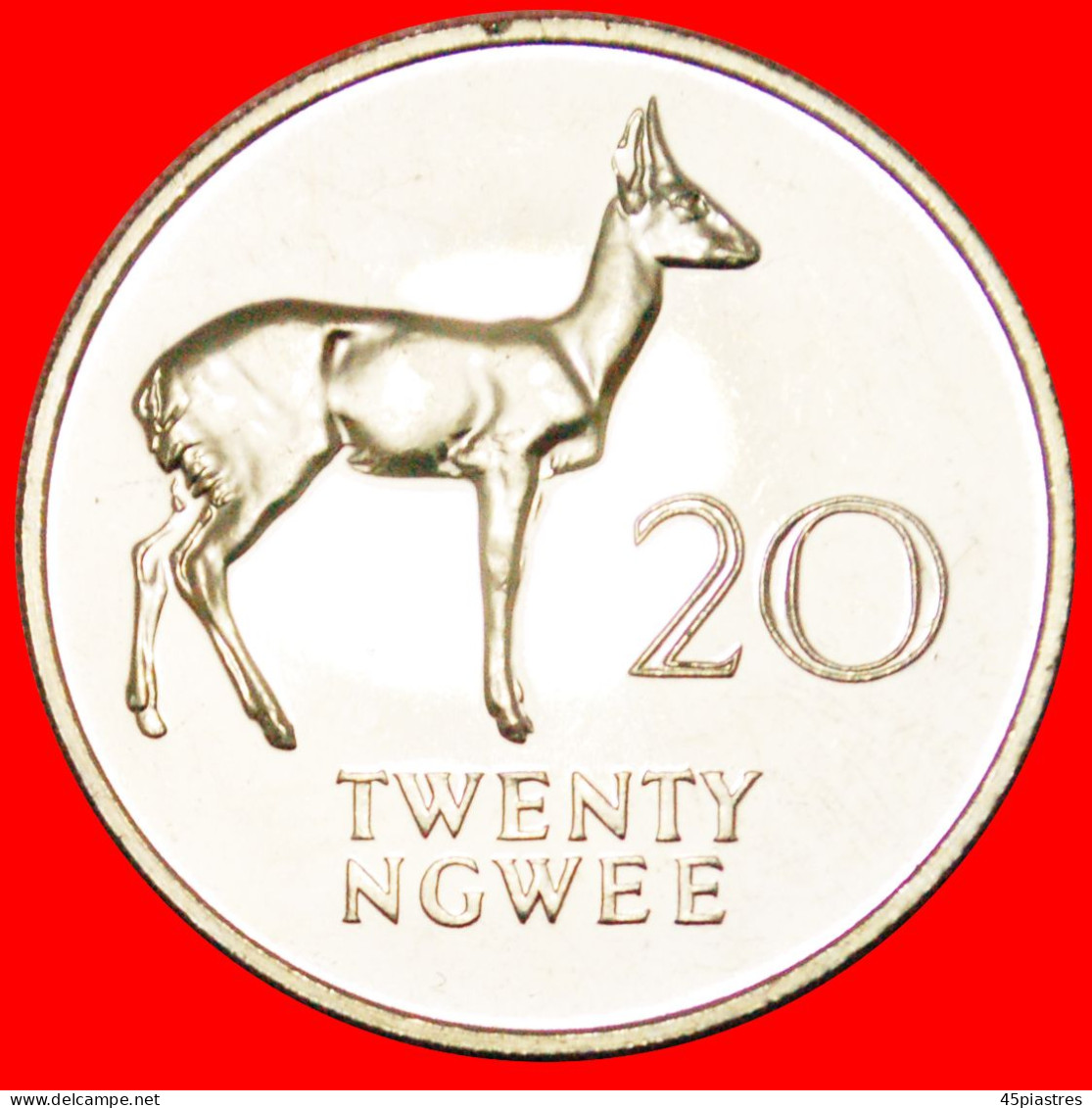 &#9733;REEDBUCK: ZAMBIA &#9733; 20 NGWEE 1968! PROOF! LOW START&#9733; NO RESERVE! - Sambia