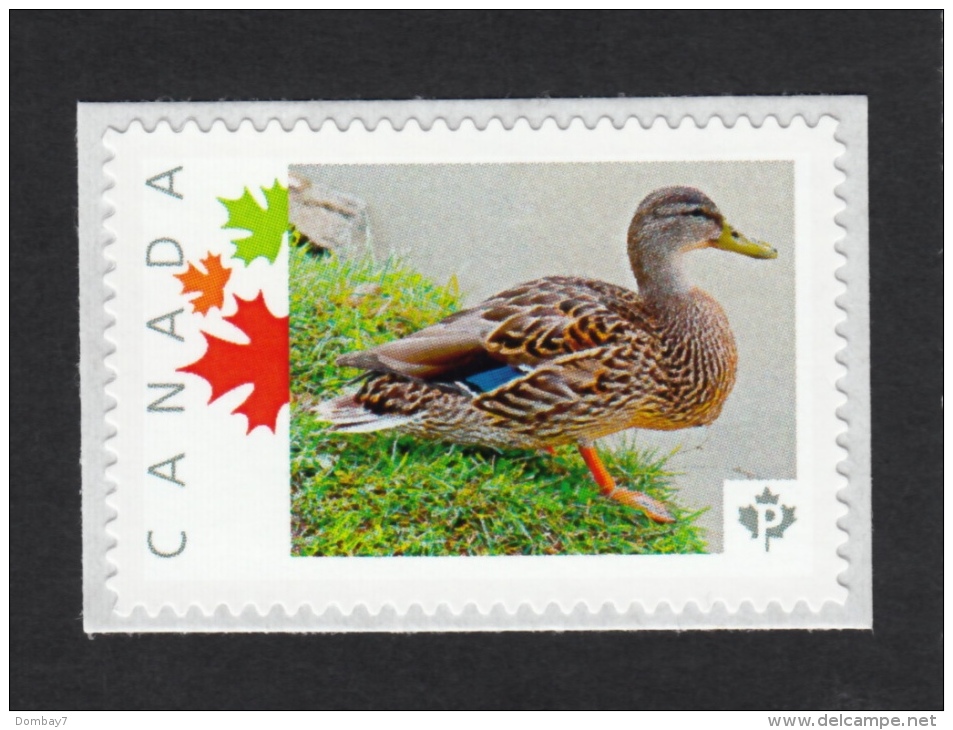 DUCK Picture Postage MNH Stamp Canada 2015 [p15/102br3/3] - Ducks