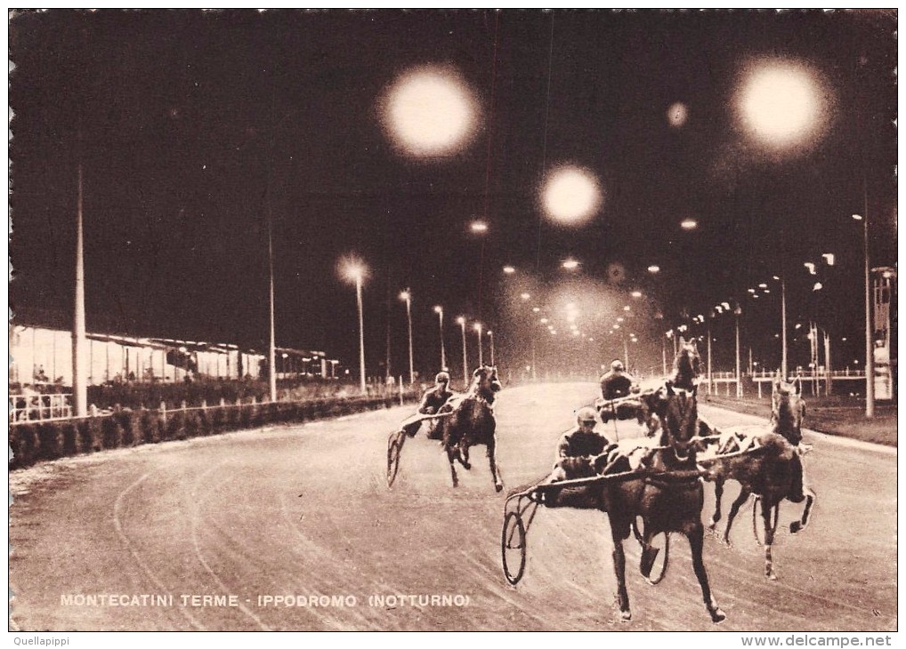 02548 "(PISTOIA) MONTECATINI TERME - IPPODROMO - NOTTURNO"  ANIMATA, CORSA CAVALLI. CART.  SPED. 1951 - Pistoia