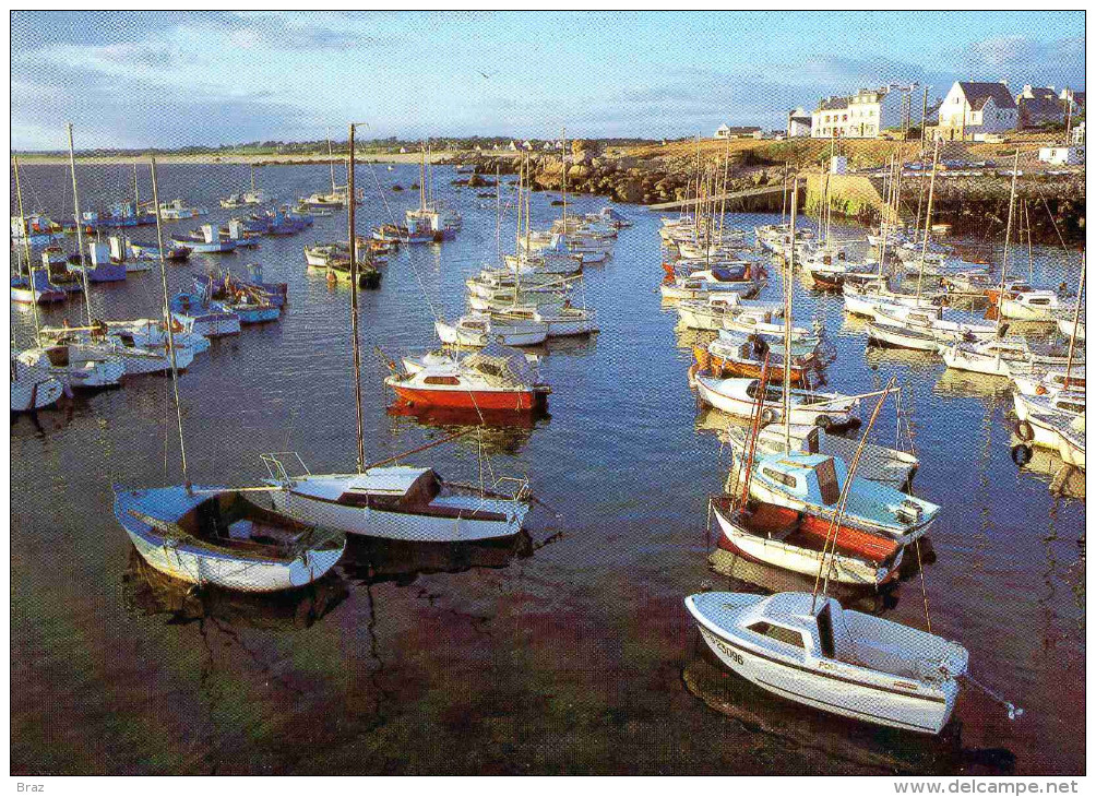 CPM  Trégunc Port De Trévignon - Trégunc