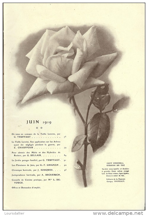 JARDINAGE N 34 06 1919 TRUFFAUT TAILLE LORETTE METIS ET HYBRIDES DE ROSIERS BELLAIR POTAGER FAMILIAL FLORAISON  HORTICOL - Tuinieren