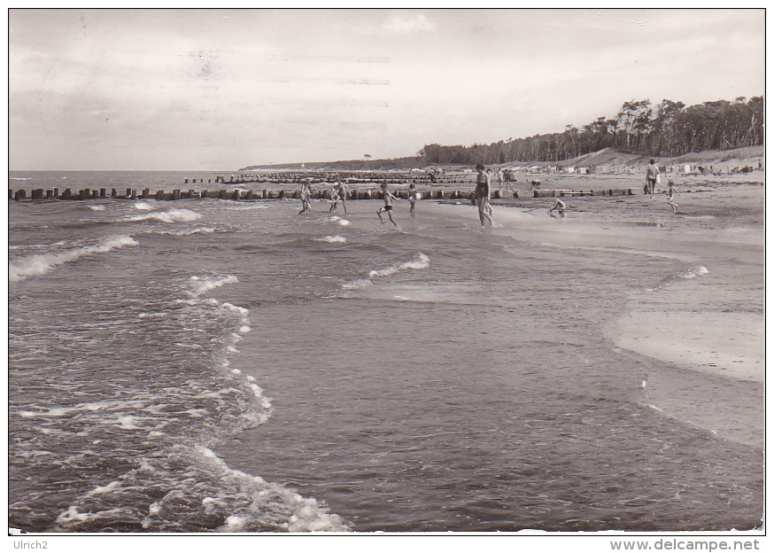 AK Weststrand Bei Born A. Darß - Kr. Ribnitz-Damgarten (19404) - Ribnitz-Damgarten