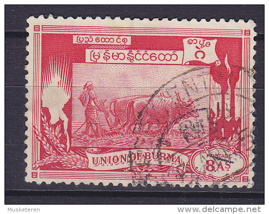 Burma 1949 Mi. 112     8 A Pflüger Plowing W. Oxen - Myanmar (Burma 1948-...)