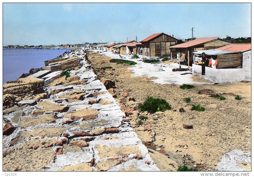 510Bf    13 Fos Sur Mer La Jetée Et Les Cabanes (vue Pas Courante Colorisée) - Autres & Non Classés