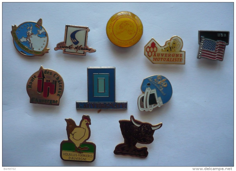 Lot De 10 PIN´ S - AUVERGNE- SAINTE -MAXIME- U.S.A - LES BOURBONS - SALERS -  LA FAUTE SUR MER - Lots