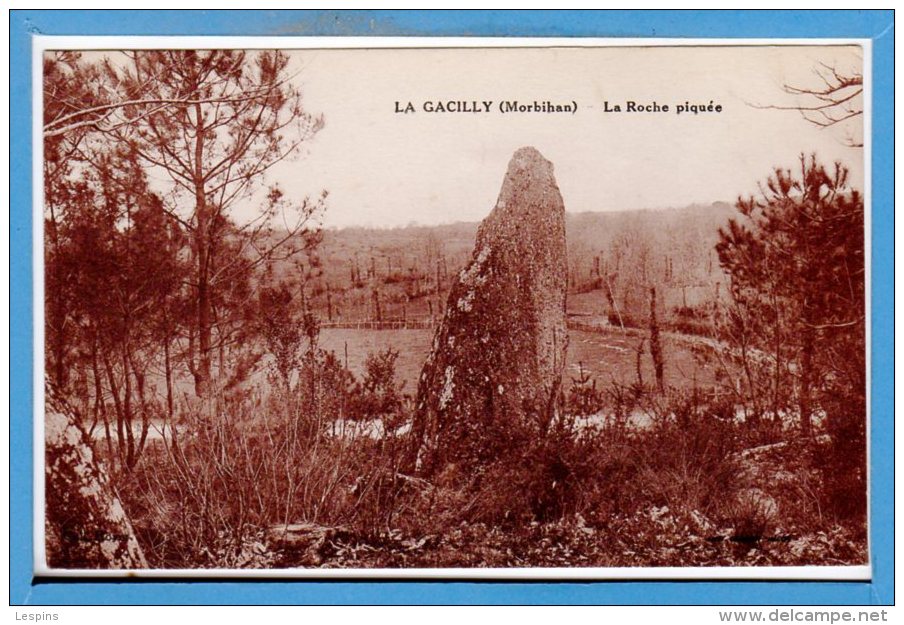 56 - La GACILLY --  La Roche Piquée - La Gacilly