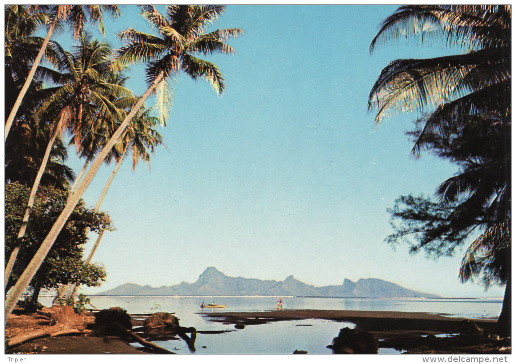 Tahiti à L'aube - Vue Sur Moorea - Tahiti