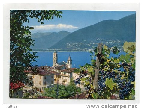 SWITZERLAND - AK 246741 Vira Gambarogno - Lago Maggiore - Gambarogno