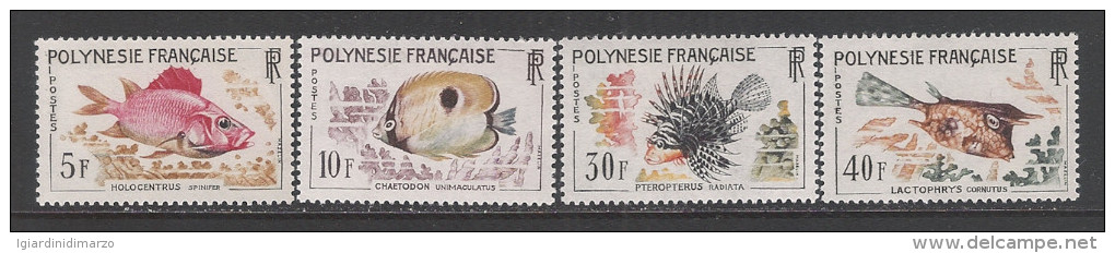 POLINESIA FRANCESE - 1962 - 4 Valori Nuovi S.t.l. - Emissione PESCI - In Ottime Condizioni. - Nuovi