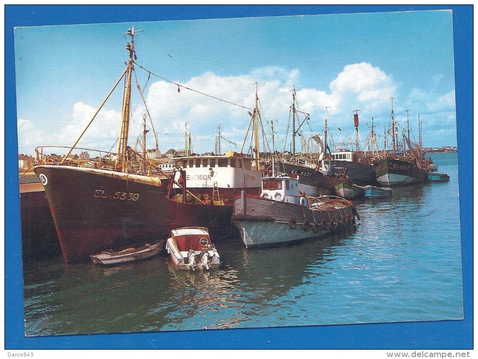 CPM - MORBIHAN - ETEL - LE PORT - GROS ET PETITS BATEAUX DE PECHE - Pierre ARTAUD & Cie / 12 - Etel