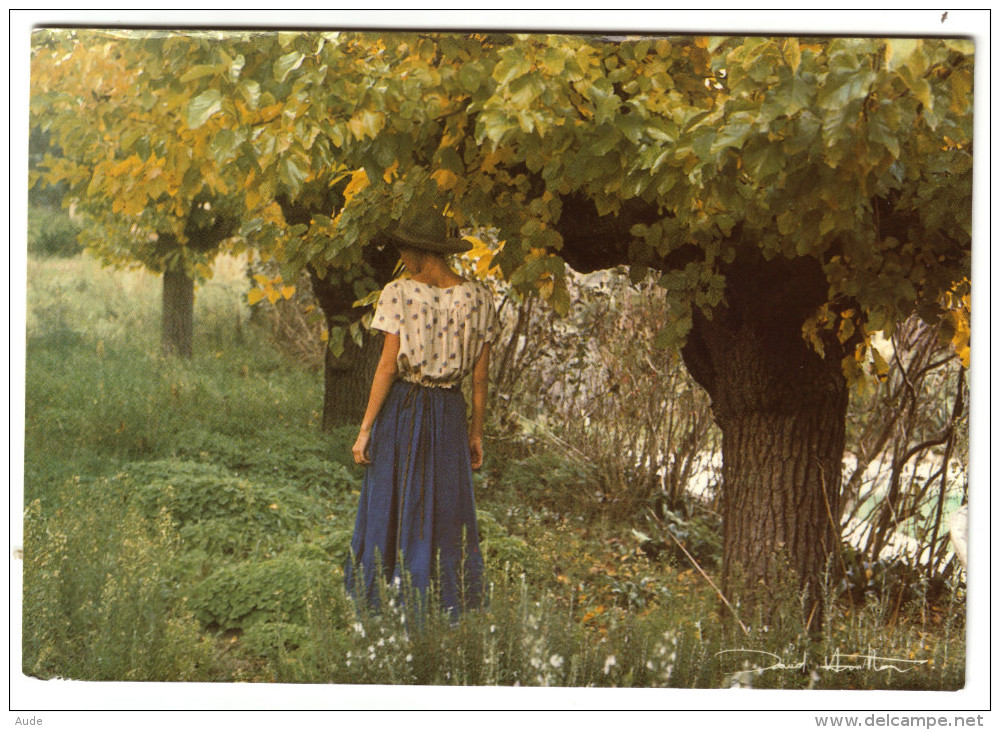 DAVID HAMILTON  Jeune Fille En Automne - CPSM - Voyagé En 1983 - - Hamilton