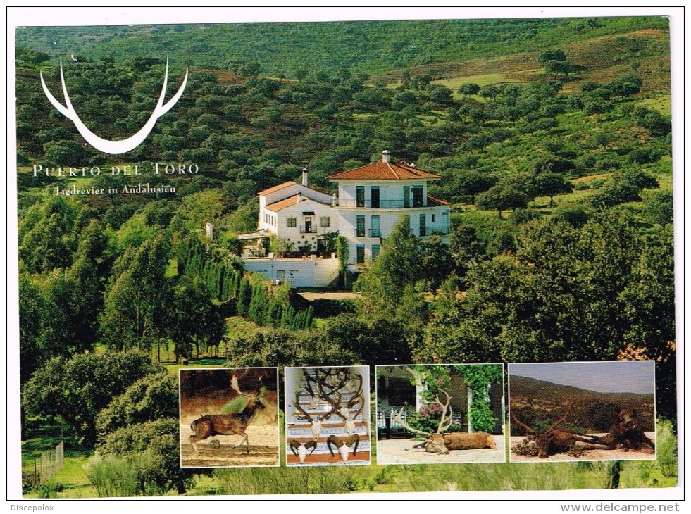 G3303 Villingen Schwenningen - Puerto Del Toro - Jagdrevier In Andalusien - Reutestrasse / Non Viaggiata - Villingen - Schwenningen