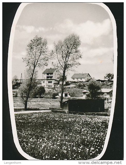 Foto-AK ´Haßbergen' (LK Nienburg / Weser) ~ 1972 - Nienburg