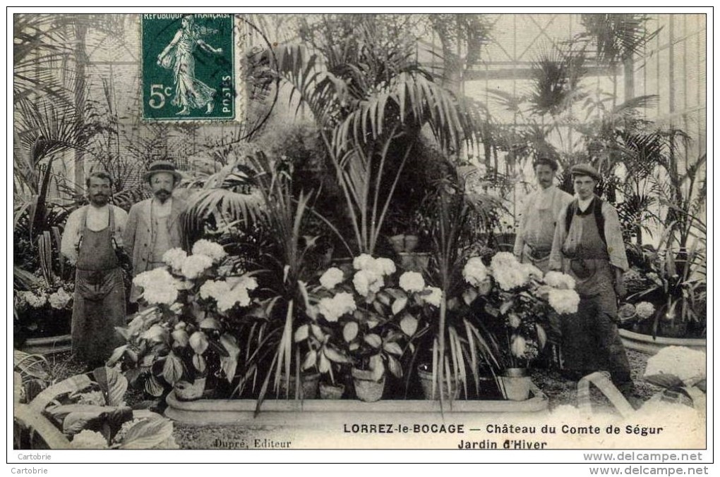 77 - LORREZ-LE-BOCAGE - Château Du Comte De Ségur - Jardin D'Hiver - Très Animée - Lorrez Le Bocage Preaux