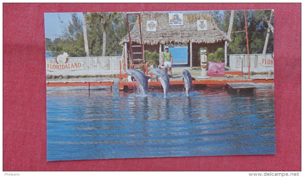 - Florida> Sarasota  Venice  Floridaland   Can Can Show  Shootouts Gerdens Fabulous Porpoises==   Ref --2050 - Sarasota