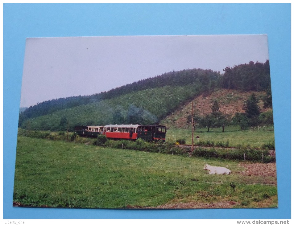 Flânerie Dans Les Prés De Blier ( P 369 - Tram ) Anno 19?? ( Voir/zie Foto Voor Details ) !! - Erezée