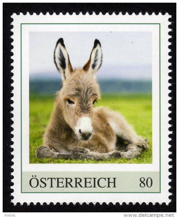 ÖSTERREICH 2015 ** Junger Esel, Donkey - PM Personalized Stamp MNH - Anes